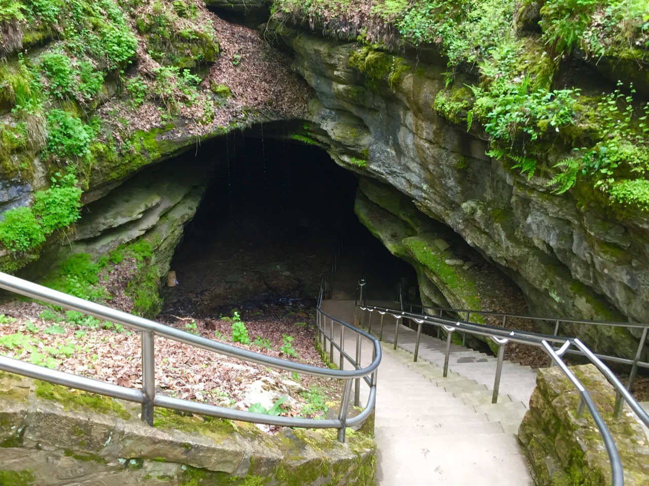 Mammoth Cave National Park –&nbsp;Kentucky