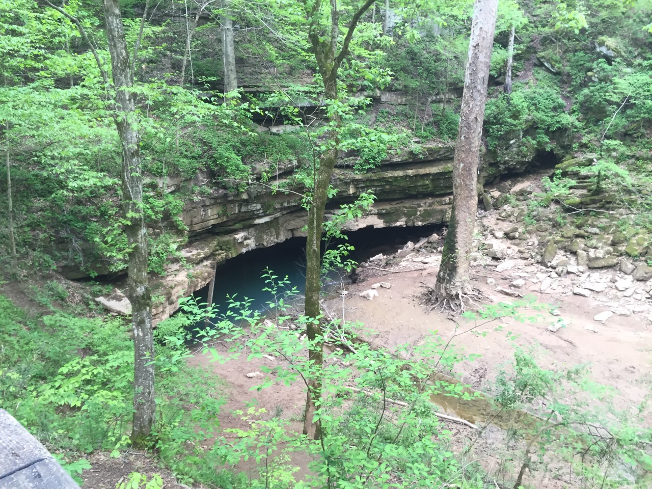 Mammoth Cave (89)