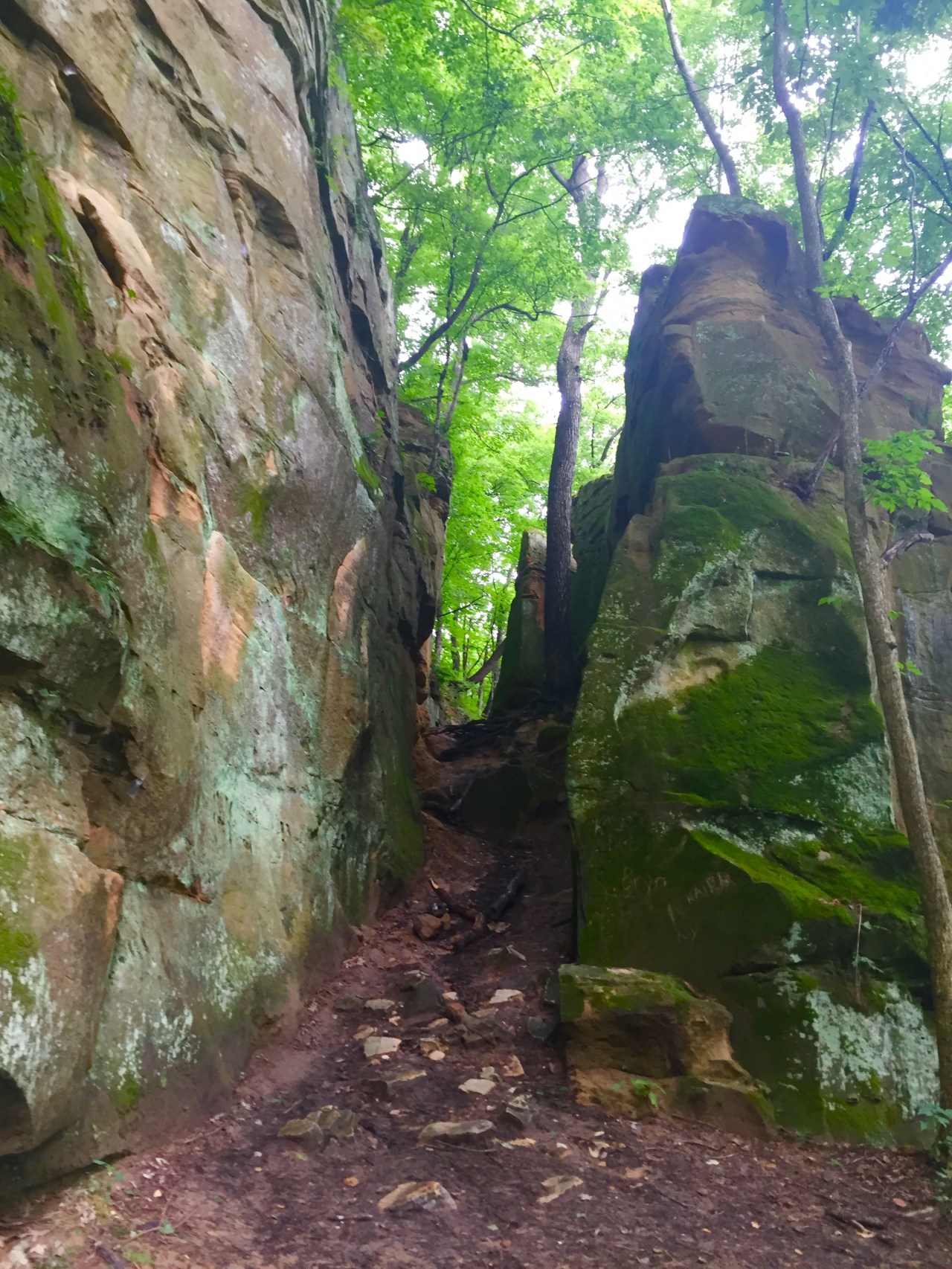 Photo Jul 13, 11 33 42 AM