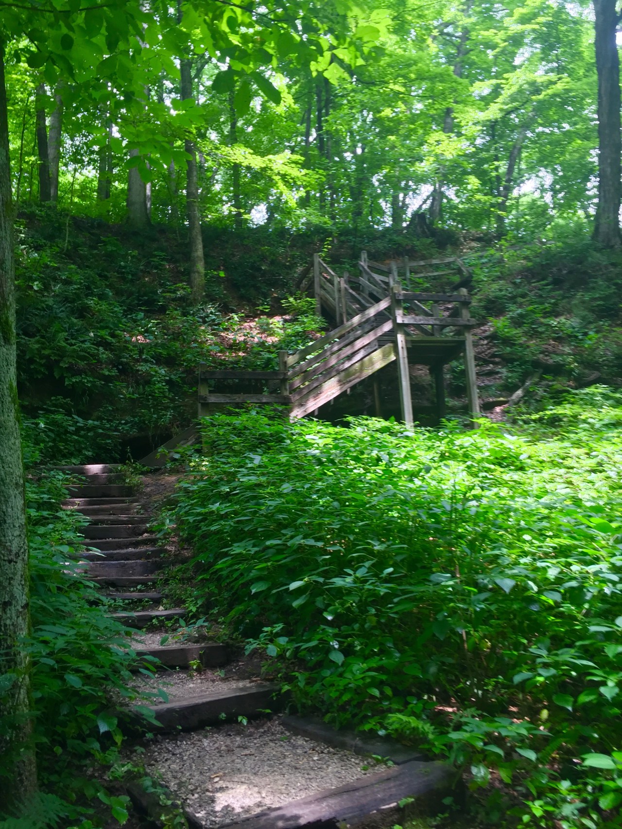 Photo Jul 13, 12 13 44 PM