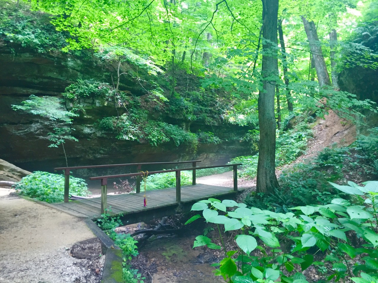 Photo Jul 13, 12 14 29 PM