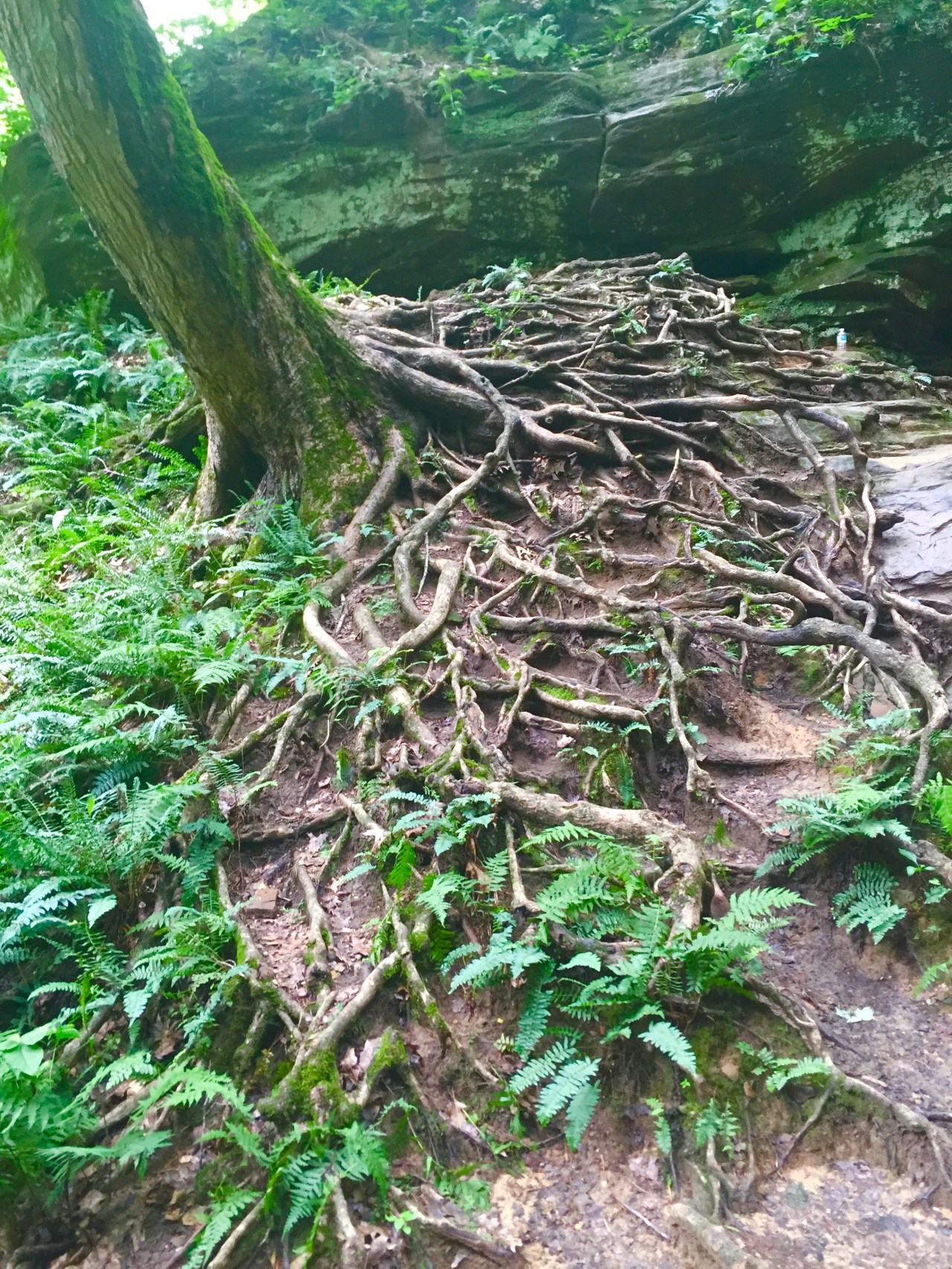 Photo Jul 13, 12 15 19 PM