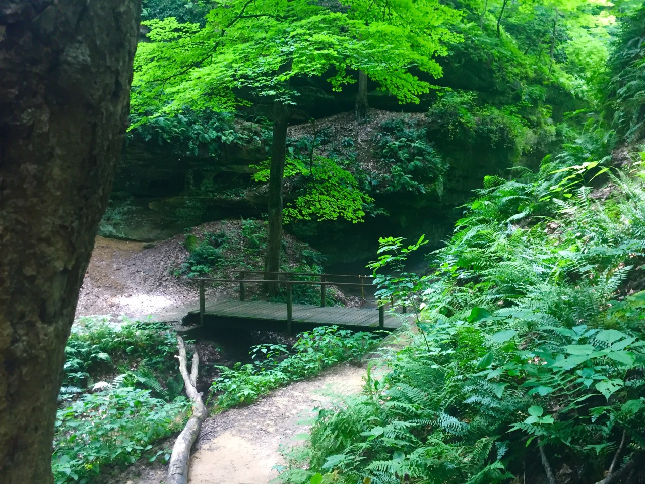 Photo Jul 13, 12 15 31 PM