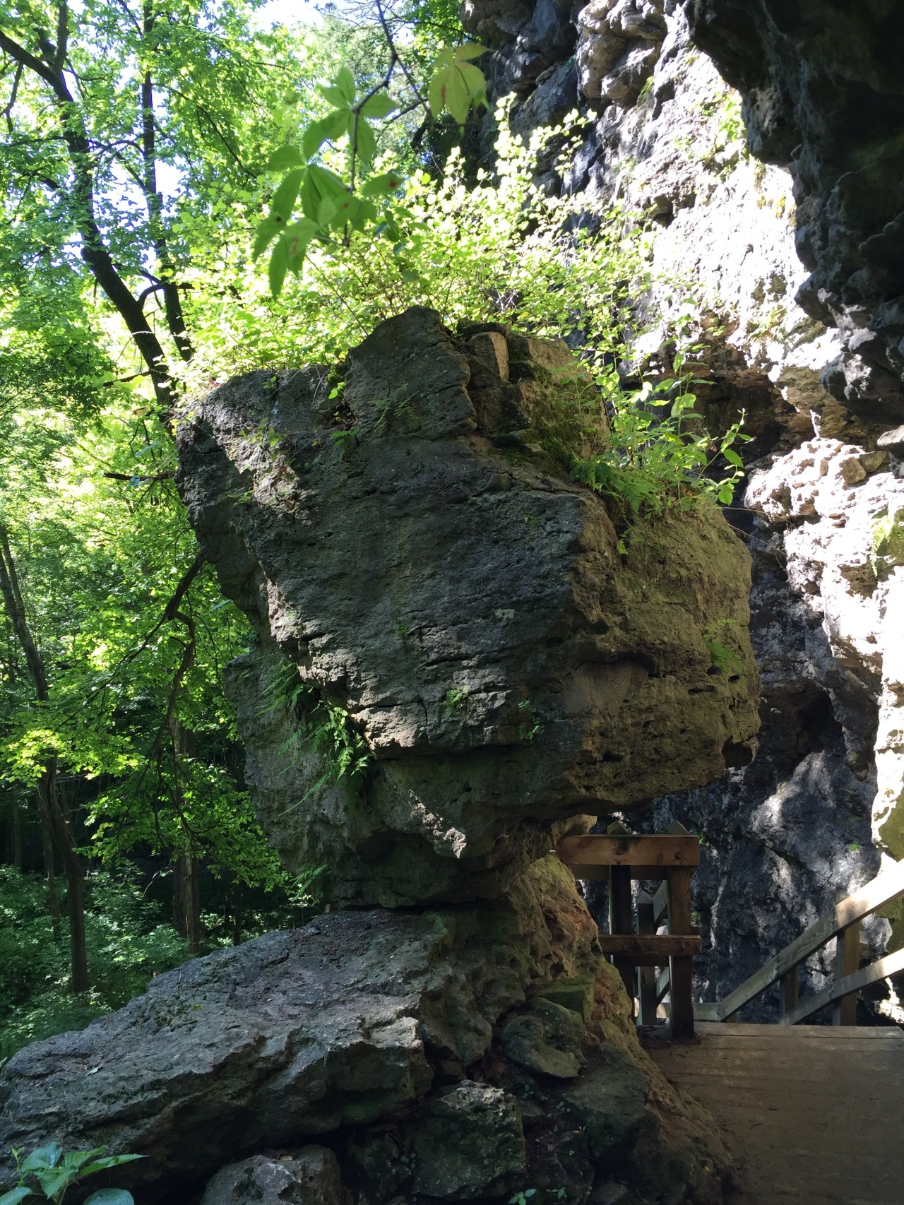 Photo Jul 14, 9 27 10 AM