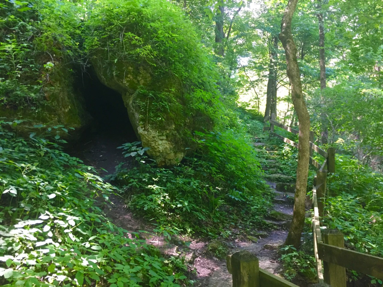 photo-jul-14-12-18-25-pm