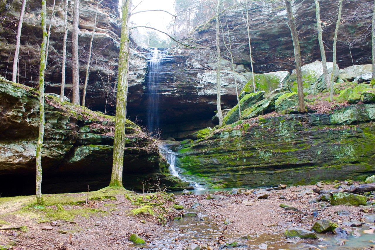 Ferne Clyffe State Park –&nbsp;Illinois