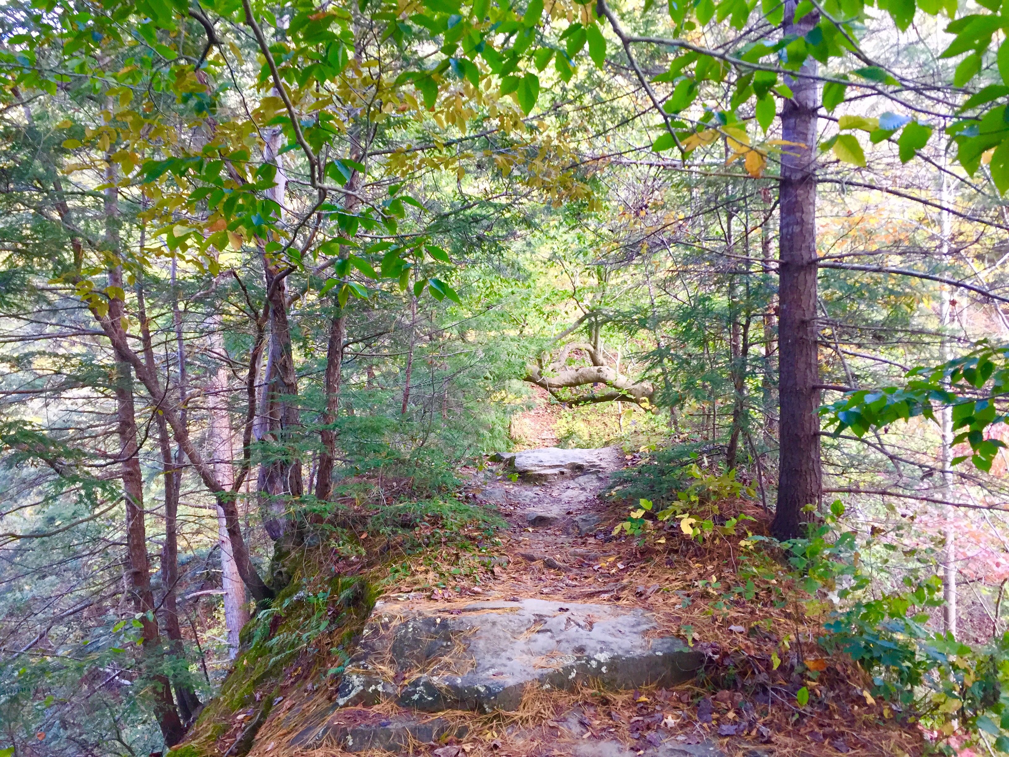 Pine Hills Nature Preserve – Indiana – Planned Spontaneity