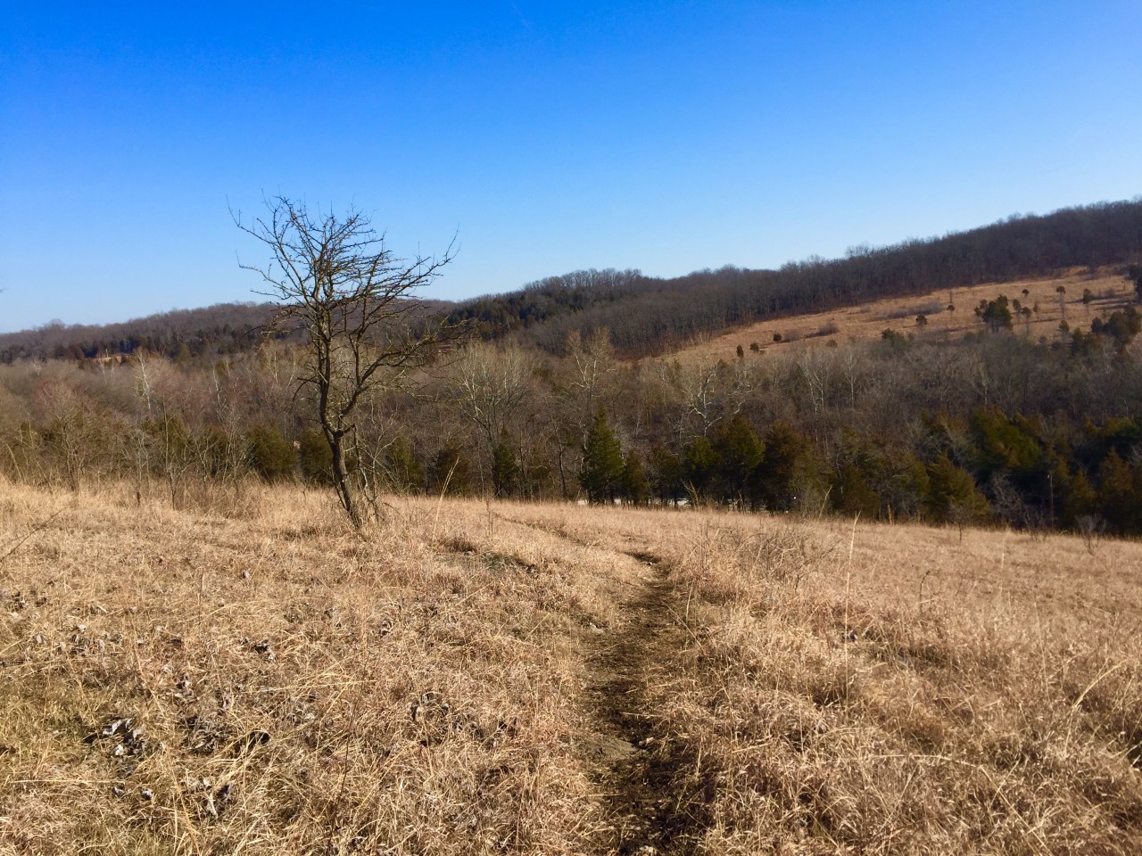 Victoria Glades Conservation Area –&nbsp;Missouri