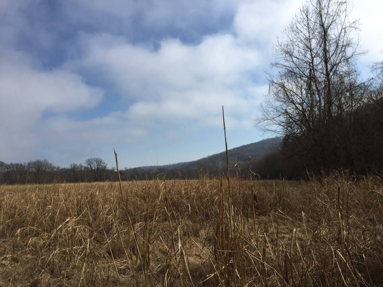 The Chubb Trail –&nbsp;Missouri