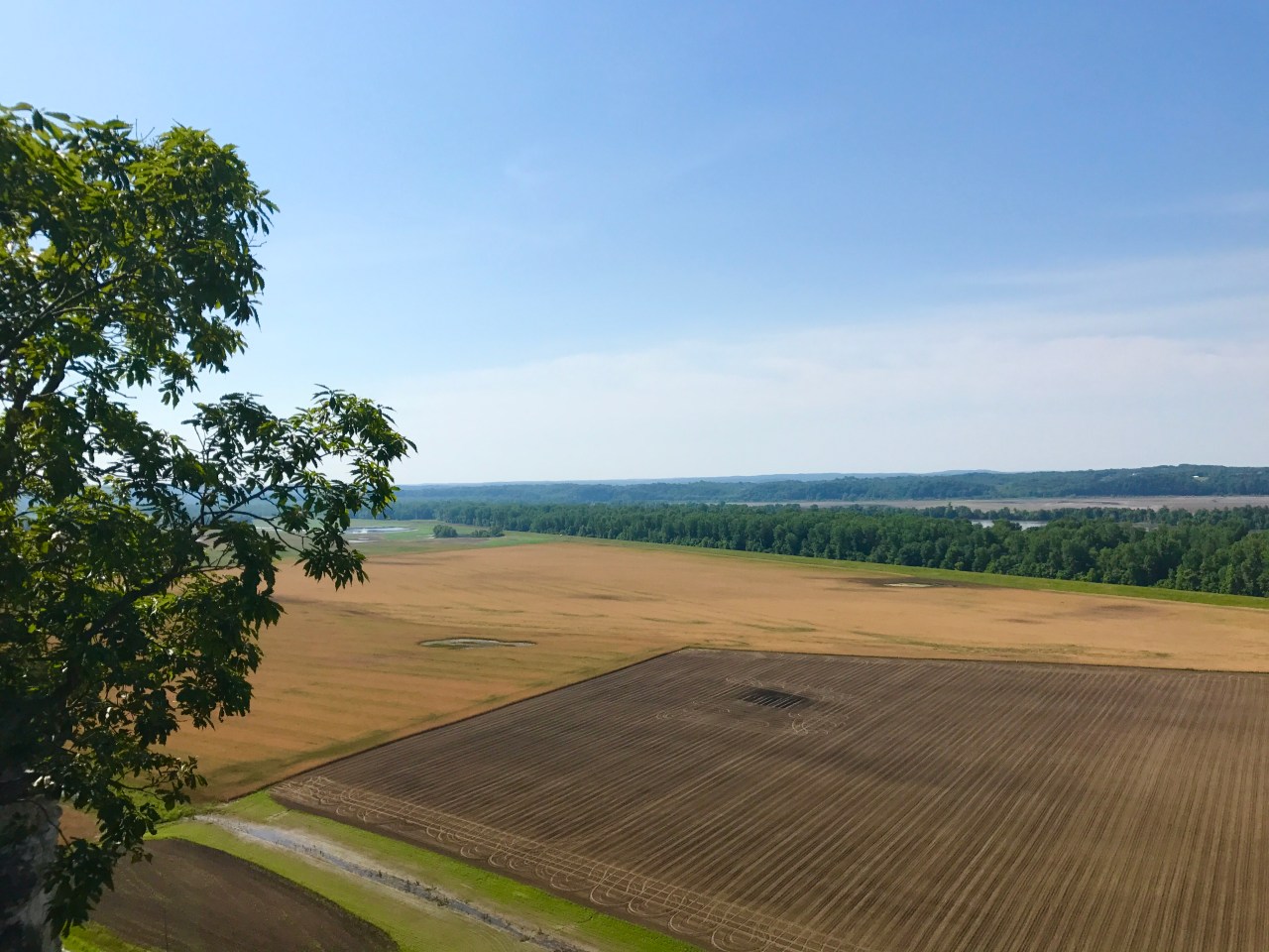 Grand Bluffs CA (14)