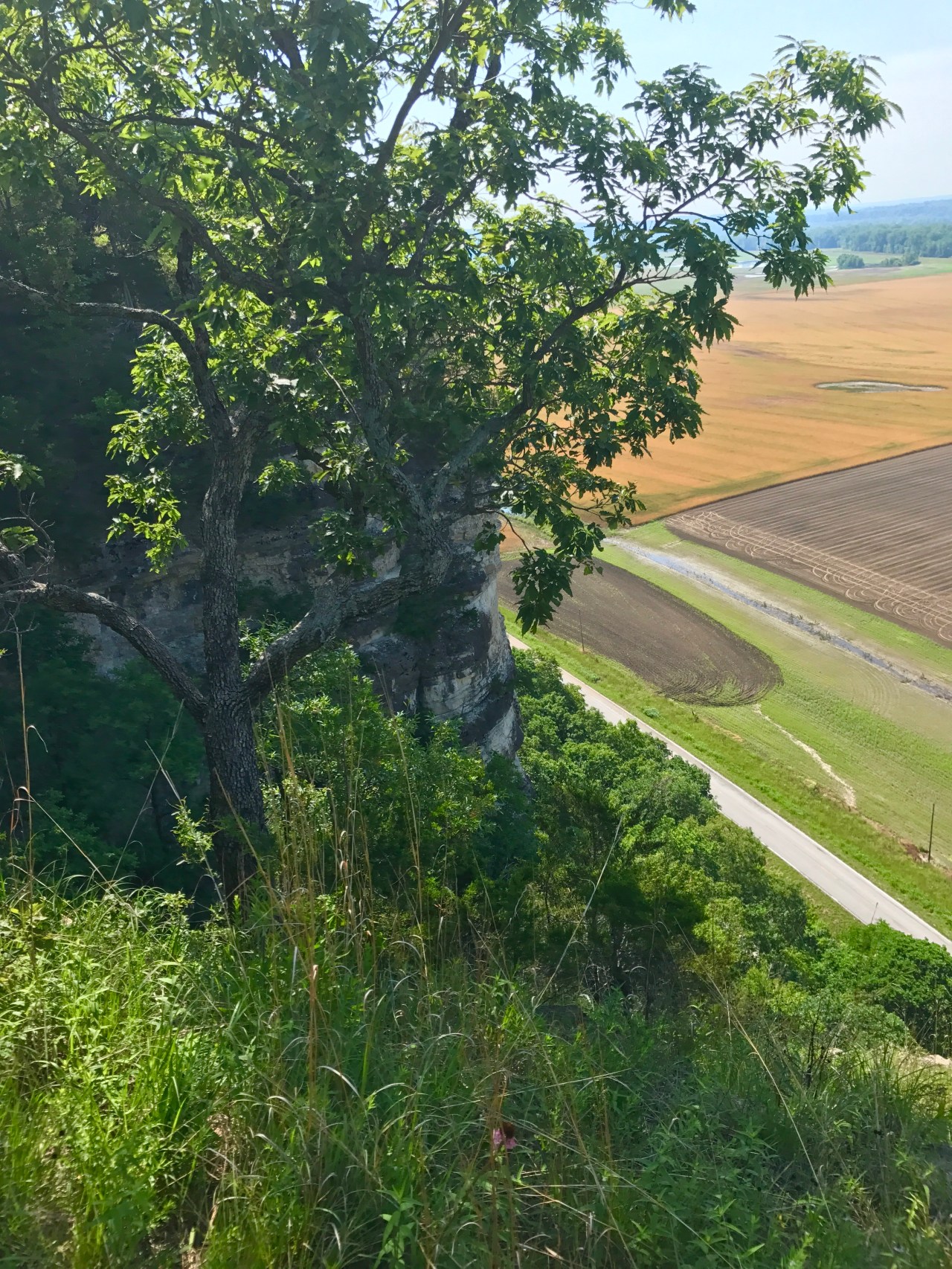 Grand Bluffs CA (17)