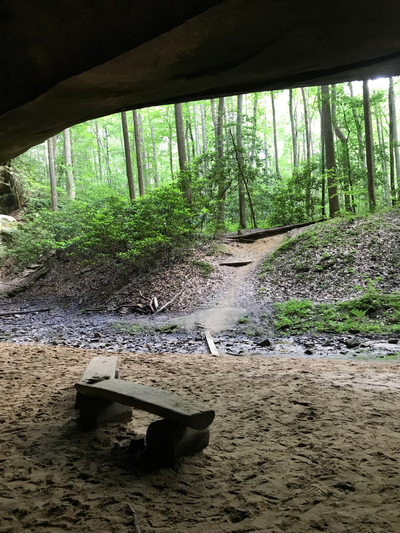 Pickett CCC Memorial State Park –&nbsp;Tennessee