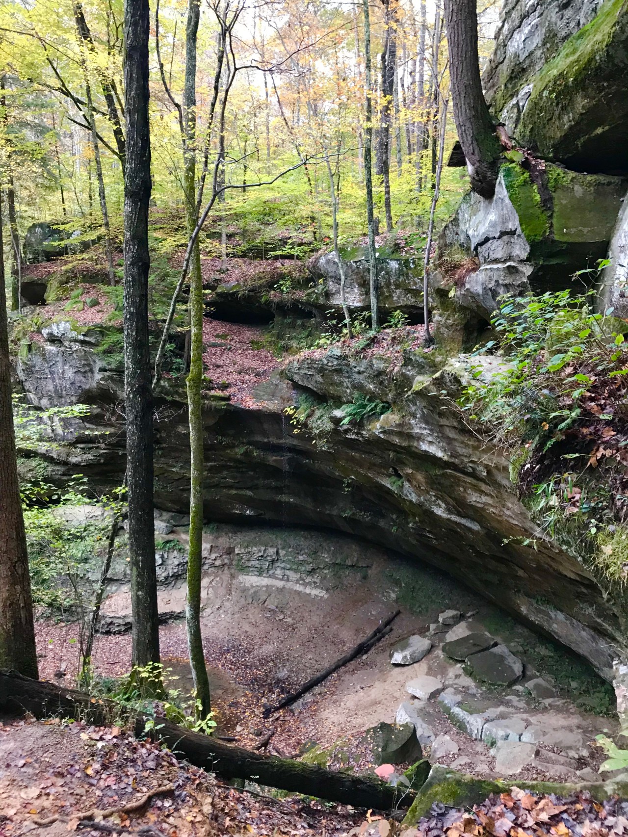 Hemlock Cliffs (18)
