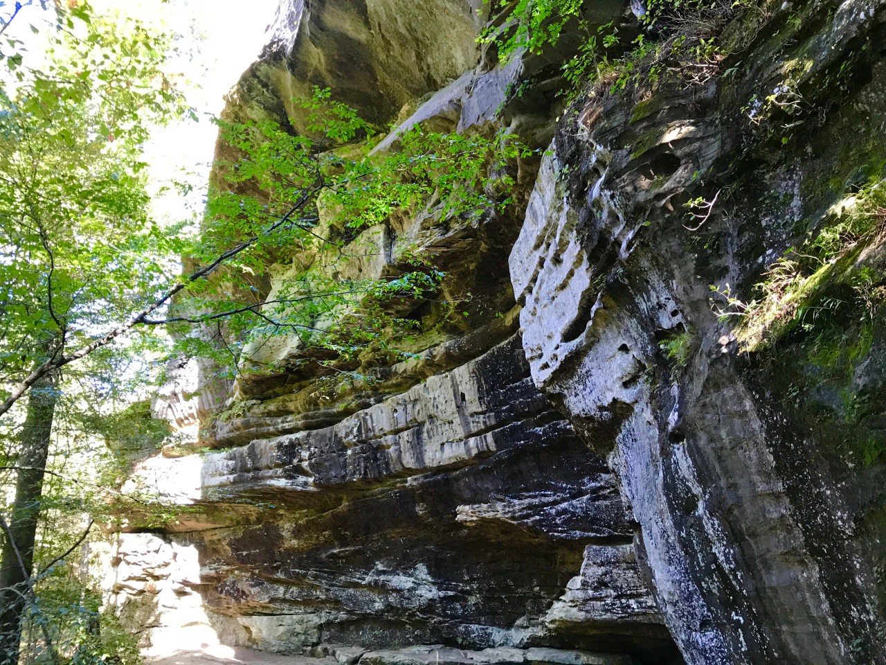 Rim Rock Trail –&nbsp;Illinois