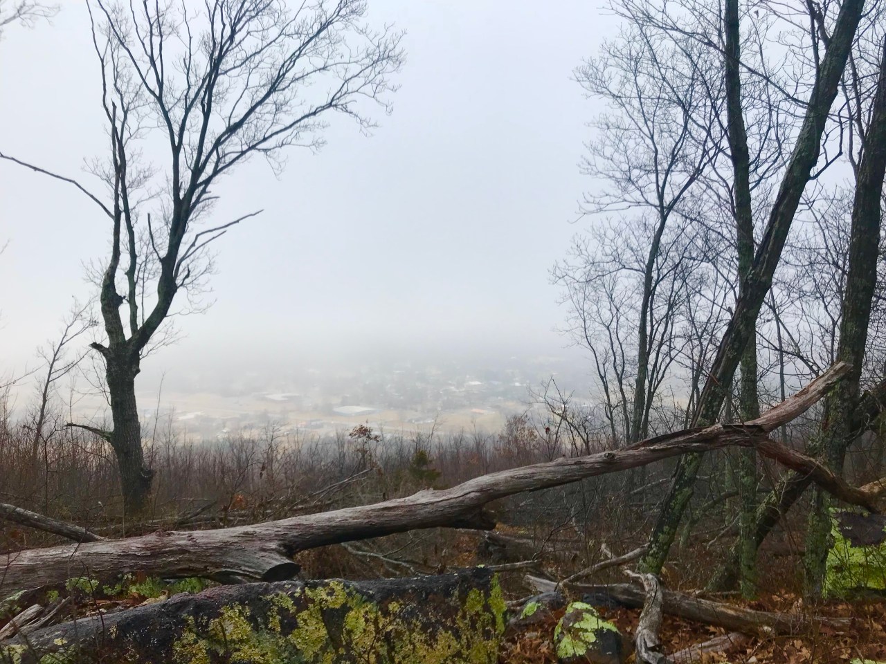 Shepherd Mountain & Battle of Pilot Knob – Missouri