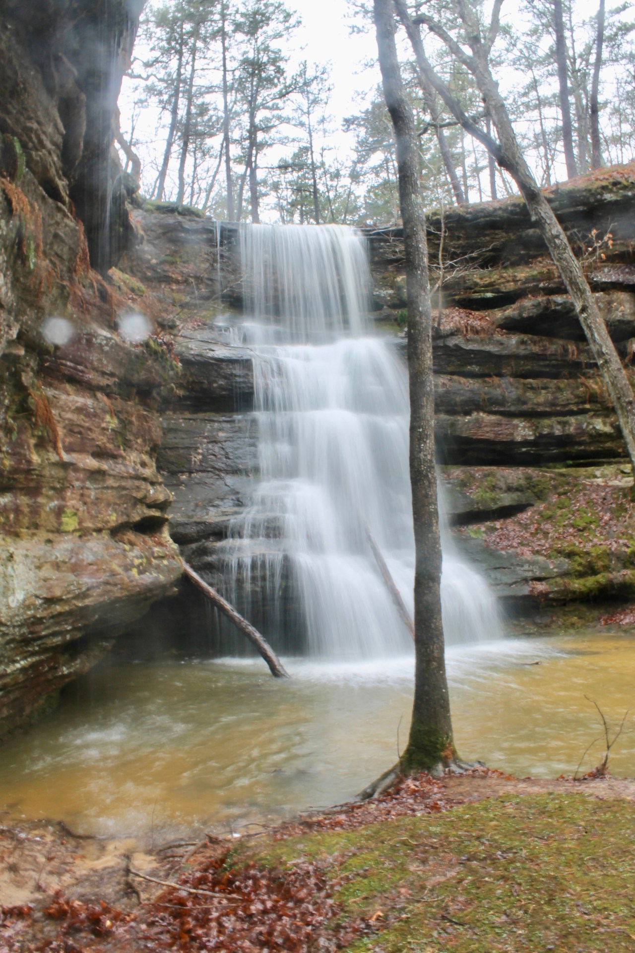 Hickory Canyons Natural Area –&nbsp;Missouri