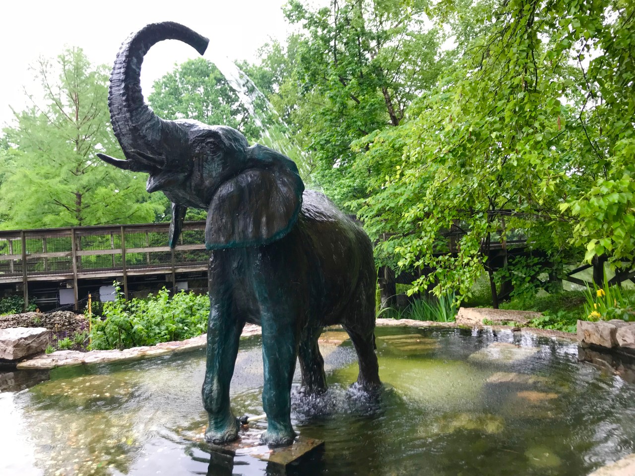The St. Louis Zoo –&nbsp;Missouri