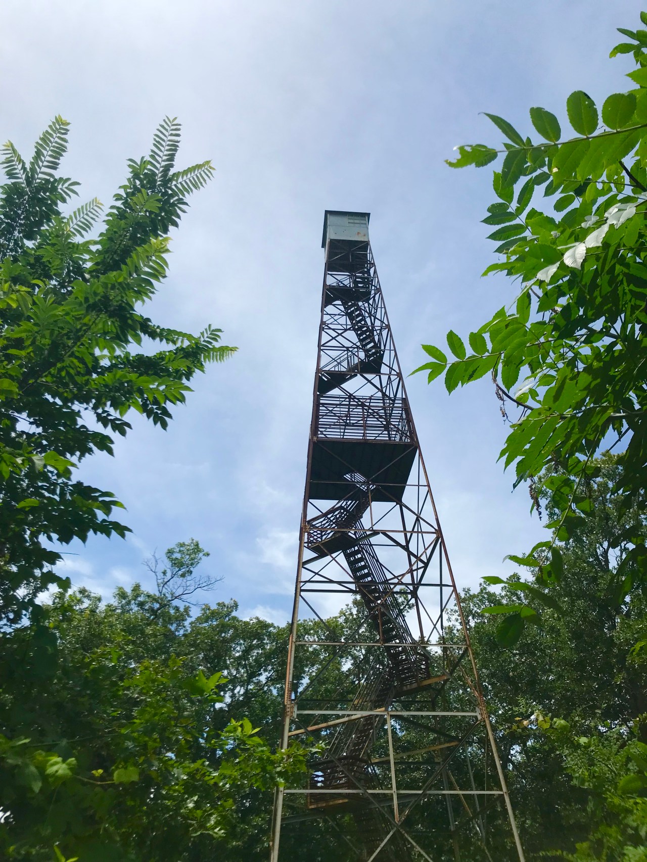 Knob Lick Towersite Conservation Area –&nbsp;Missouri