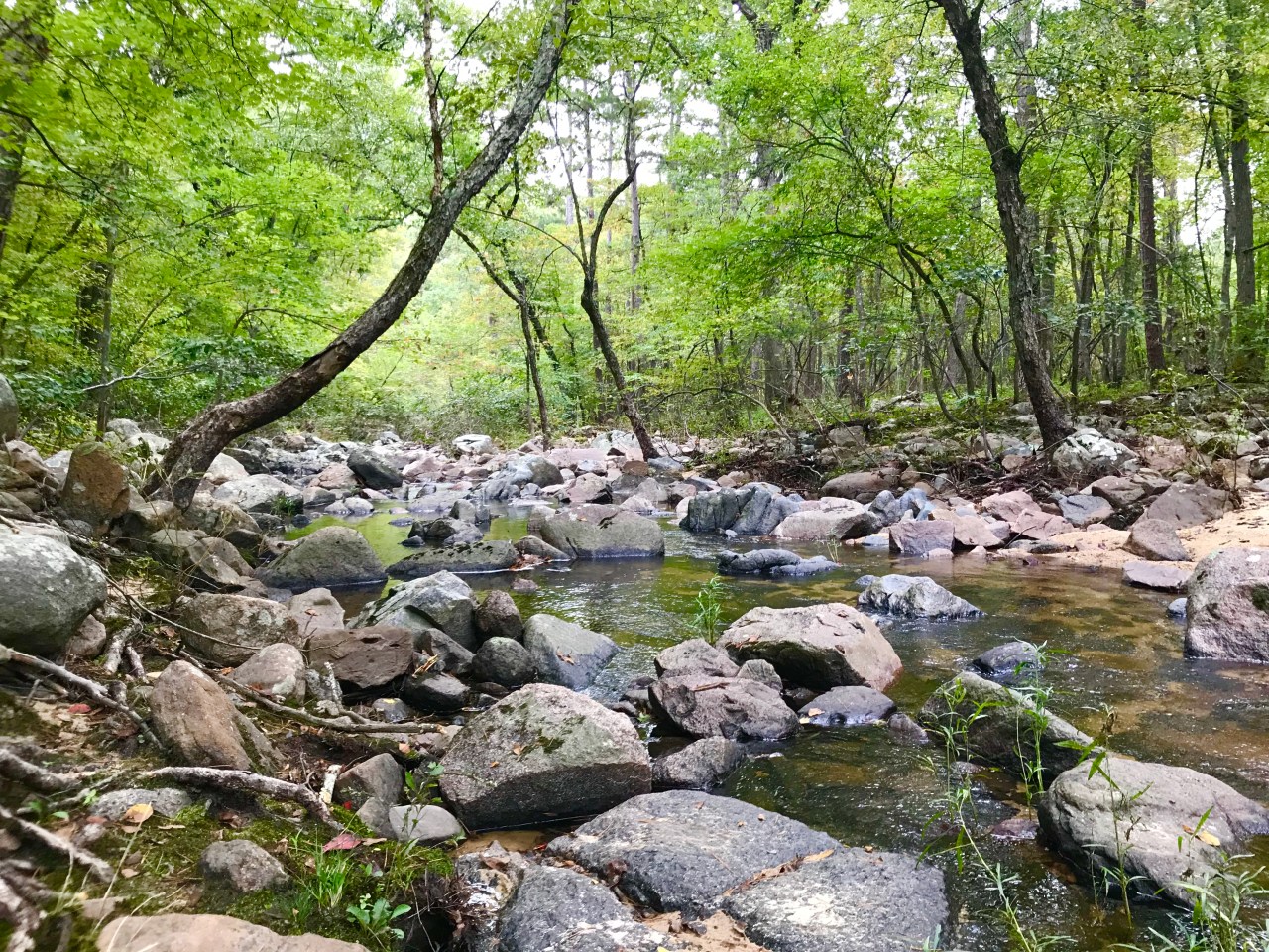 Hawn State Park –&nbsp;Missouri
