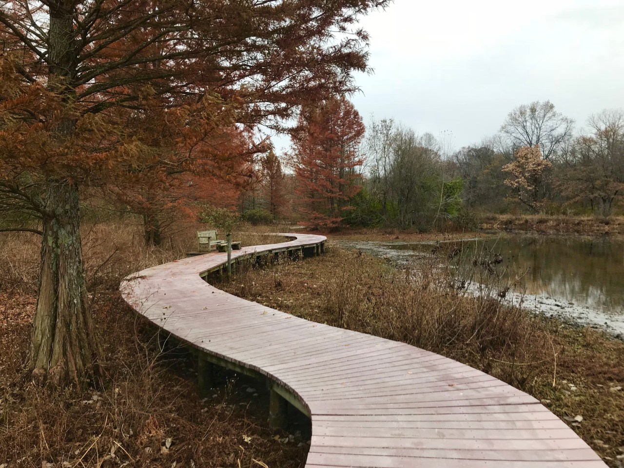 Shaw Nature Reserve –&nbsp;Missouri