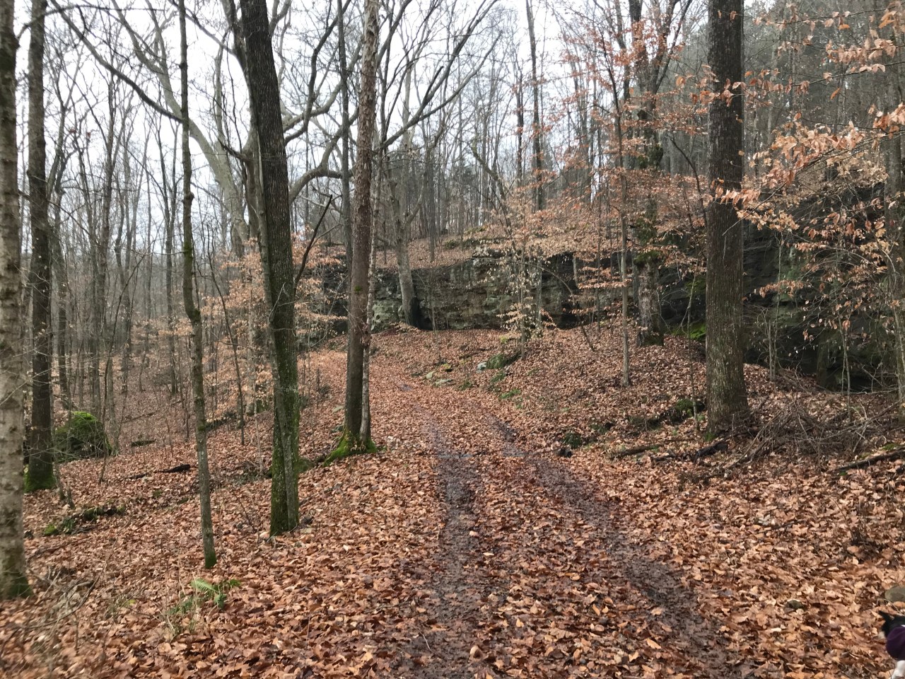 dgxgsnyzte+jlo+qwmhjwq