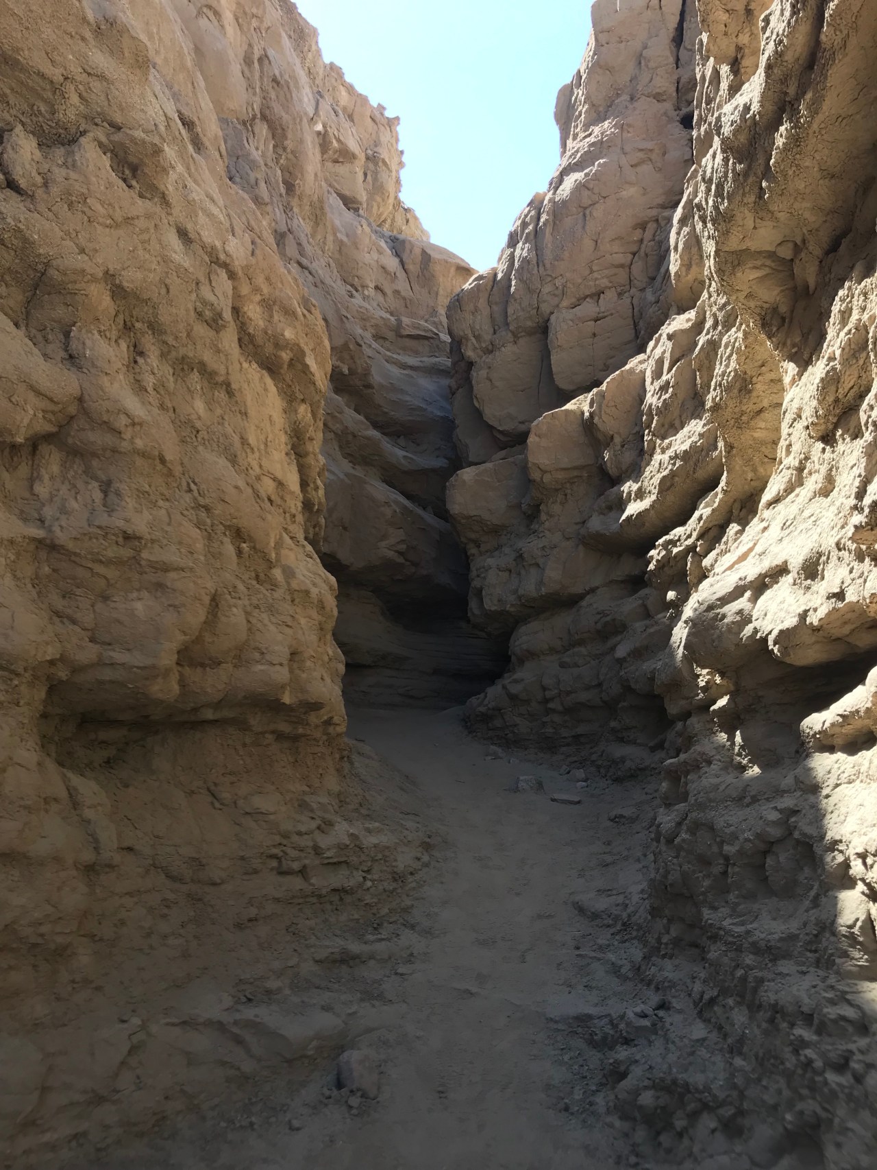 sR5ce+ujQwiFyL1zTeNzqQ