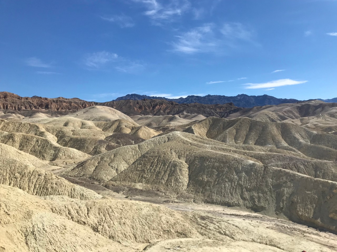 YdE8aQLGTl+dO8wnZI8Rgw