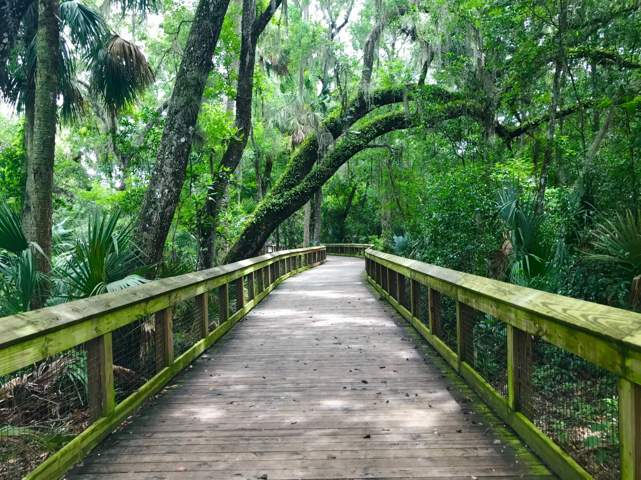 Blue Spring State Park –&nbsp;Florida
