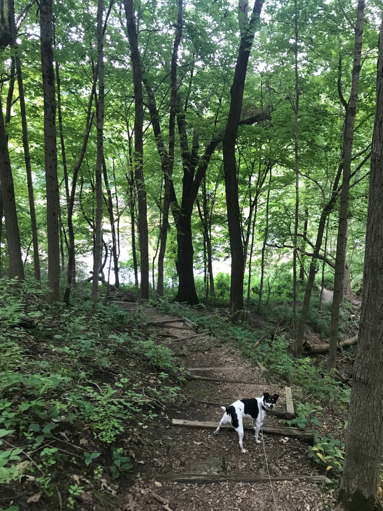 Cx4aYtYZSnSIChOFeP1vQg