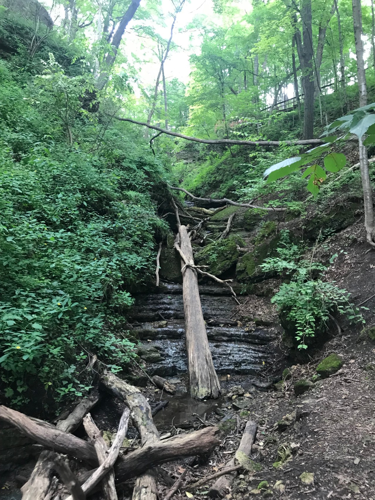 PQWdTvRsQkCgGTpzi8WIRg