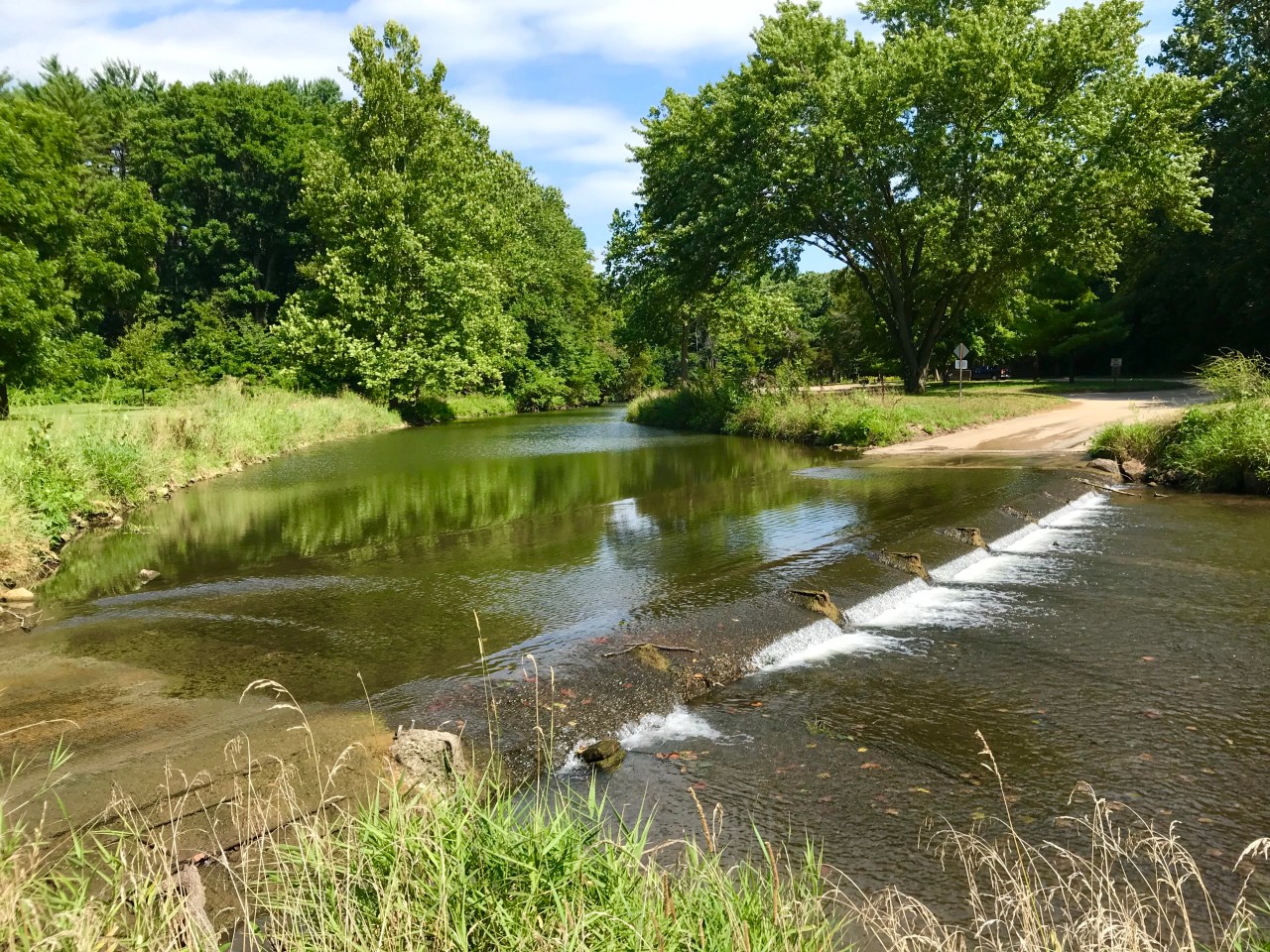 White Pines Forest State Park –&nbsp;Illinois