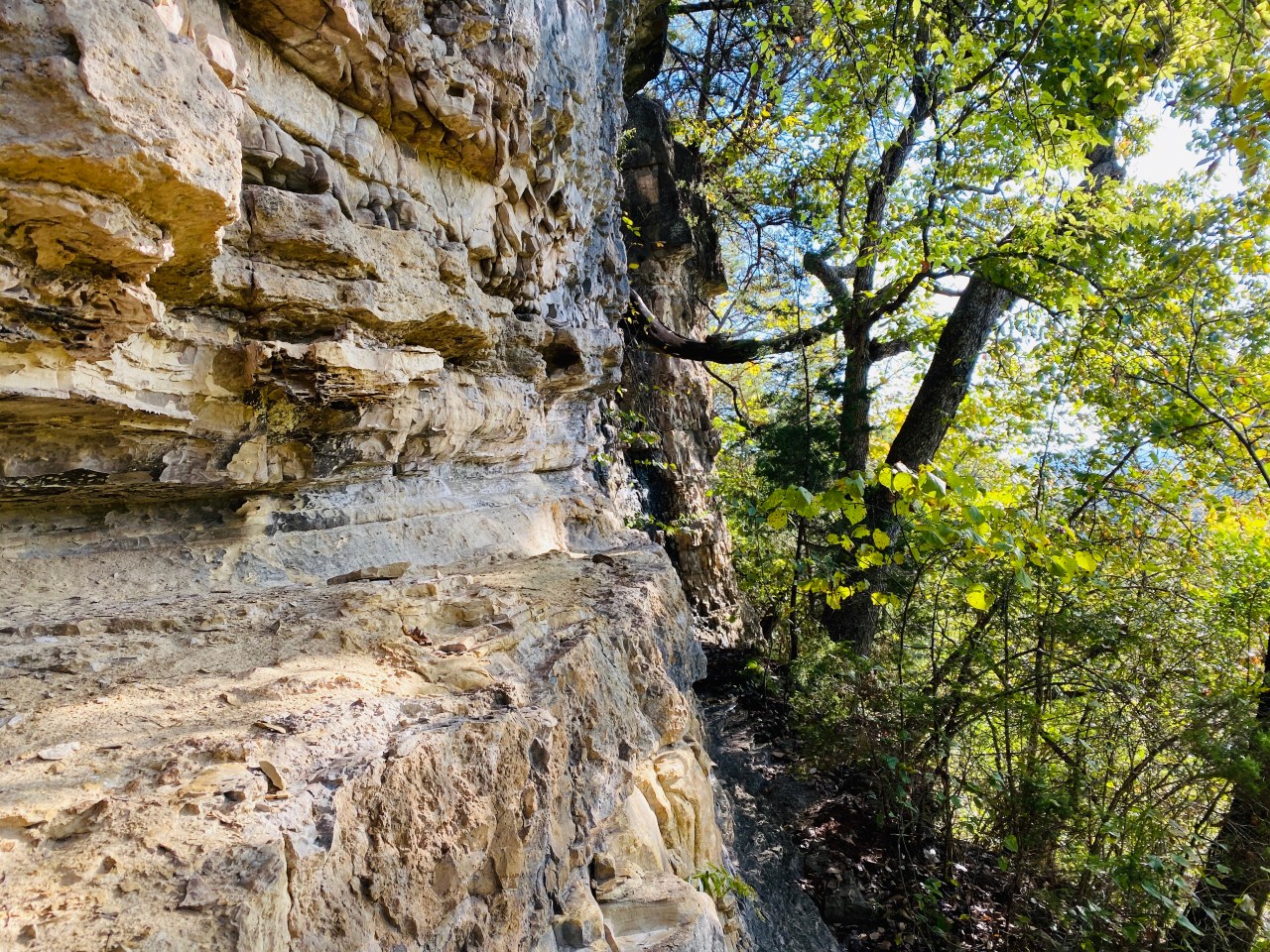 Lakeside Forest Wilderness Area –&nbsp;Missouri