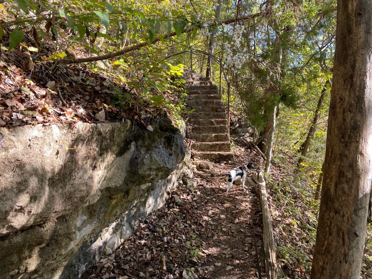 W5xg3iErSkCWforZshZ8jw