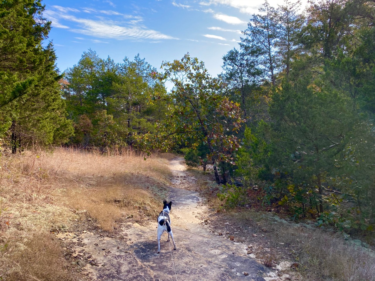 Don Robinson State Park –&nbsp;Missouri