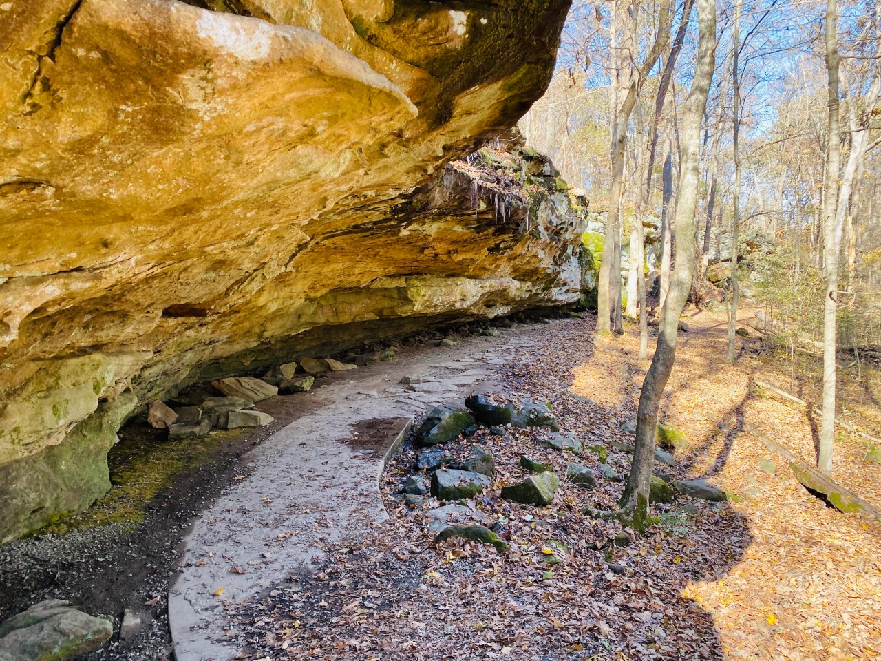 0080433A-034E-49E6-B1A1-5D2E69F729BF