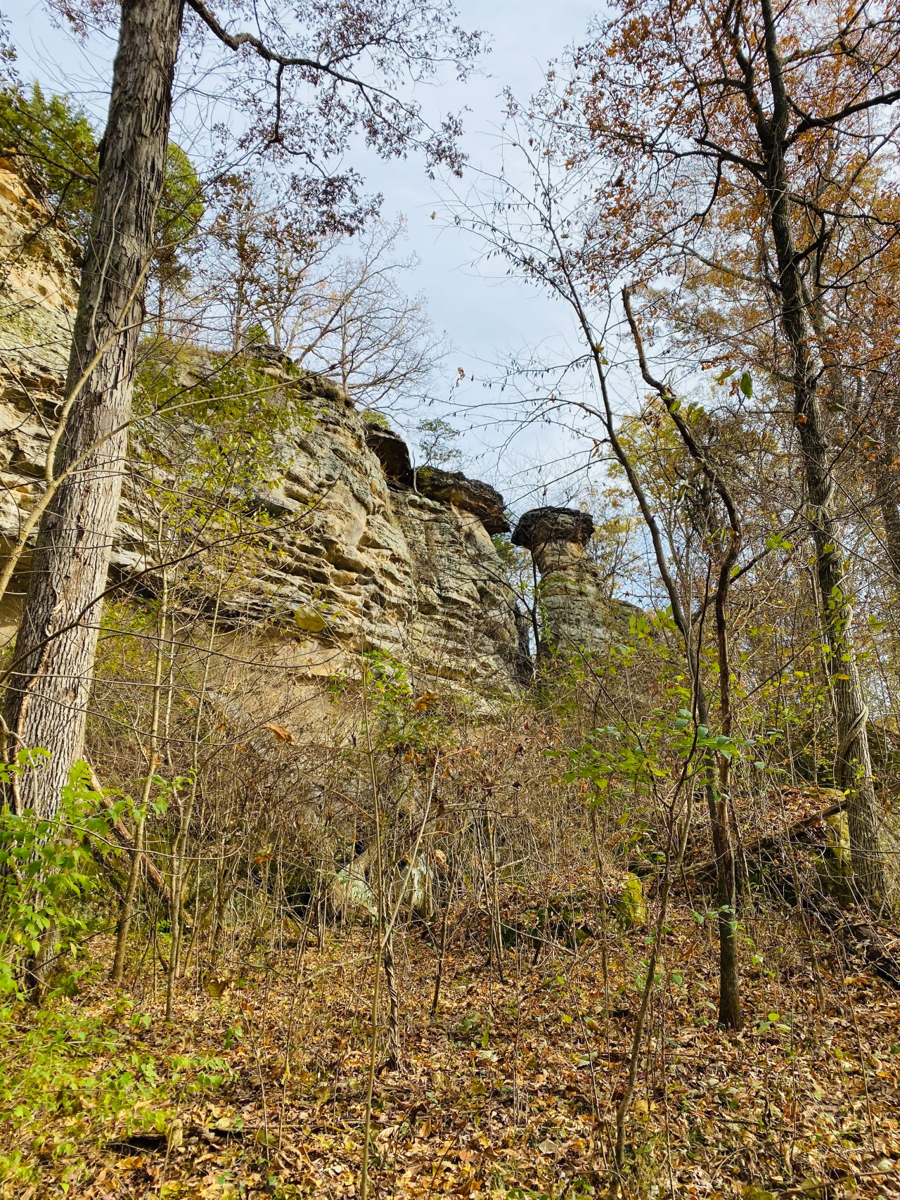 5166BED8-0FE5-4ABF-9497-760FACCC1097