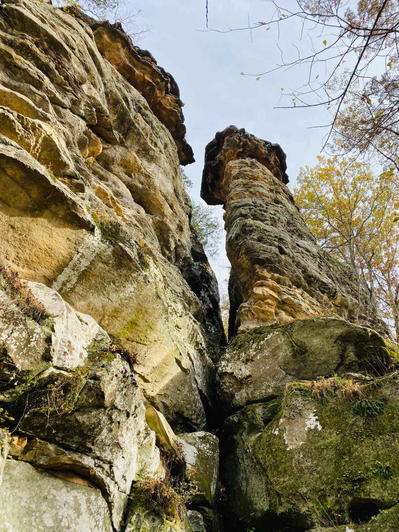 B4AE2986-275D-44F9-8268-EA8CFB55516A