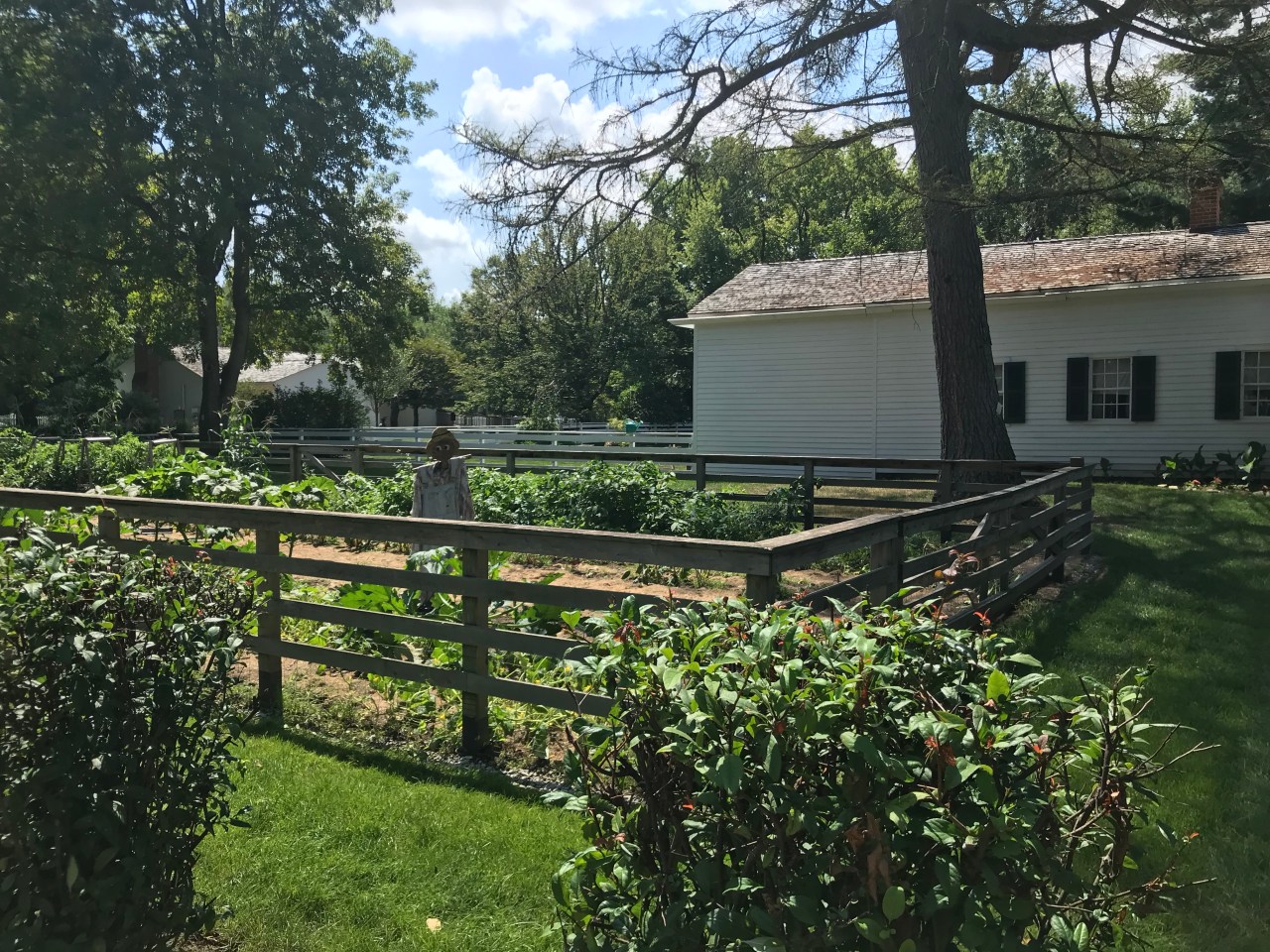 1E119738-373C-4C70-8E4D-096E9E562400