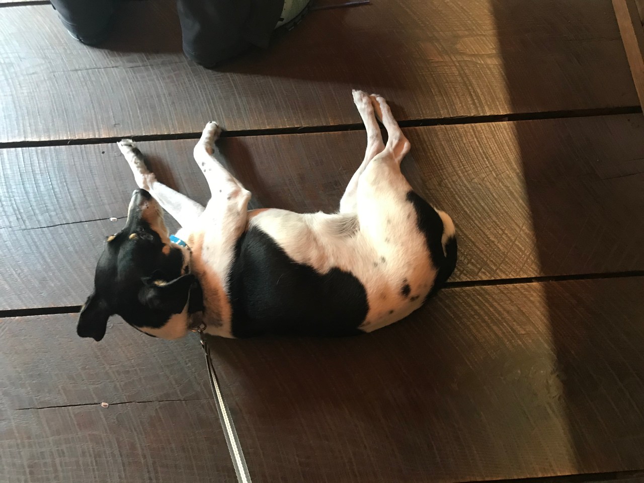 54380E08-F994-4112-A32D-756368365DA8