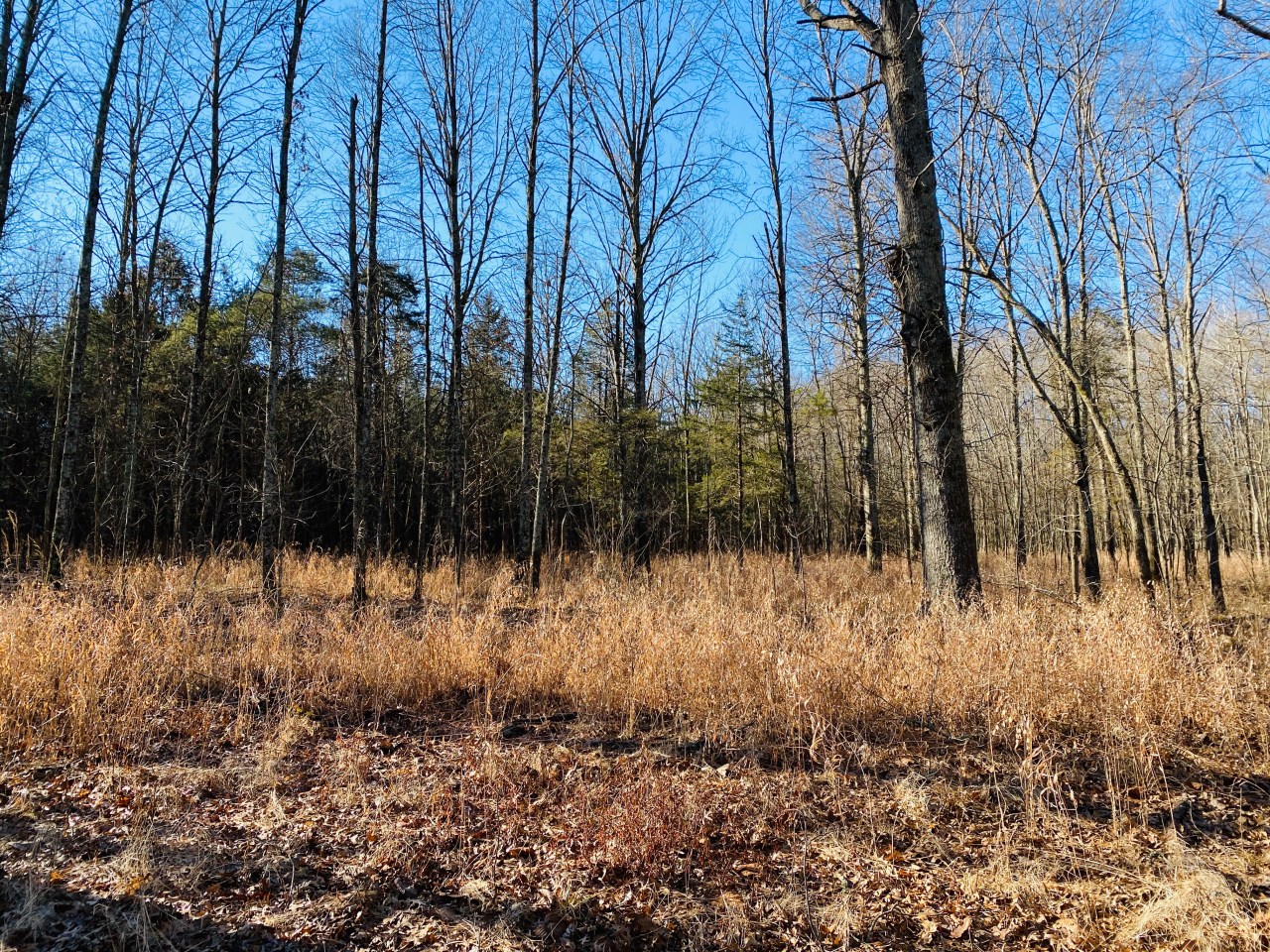 Robertsville State Park –&nbsp;Missouri