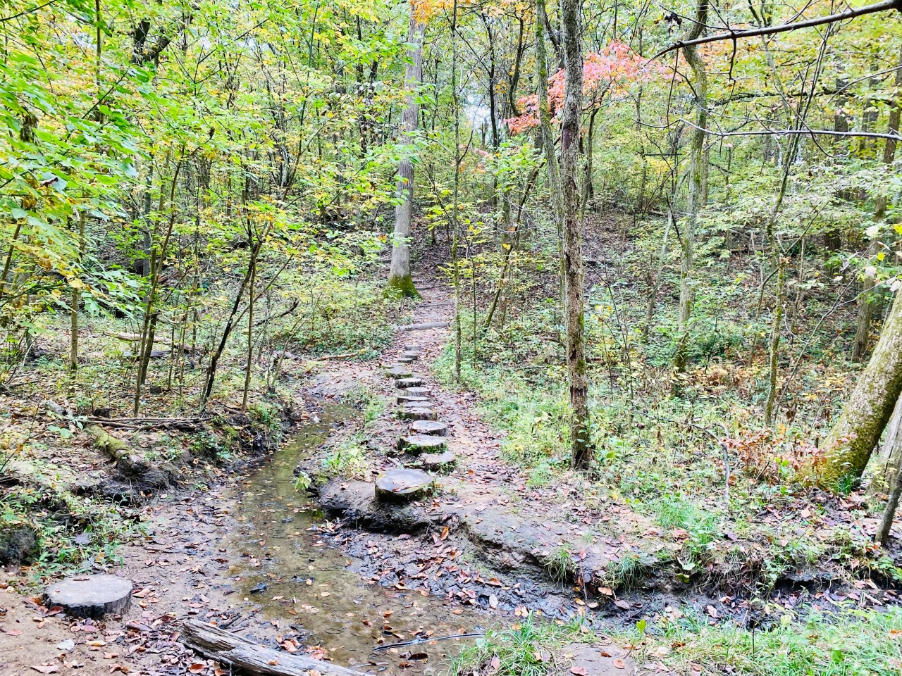 Julius J Knobeloch Woods Nature&nbsp;Preserve