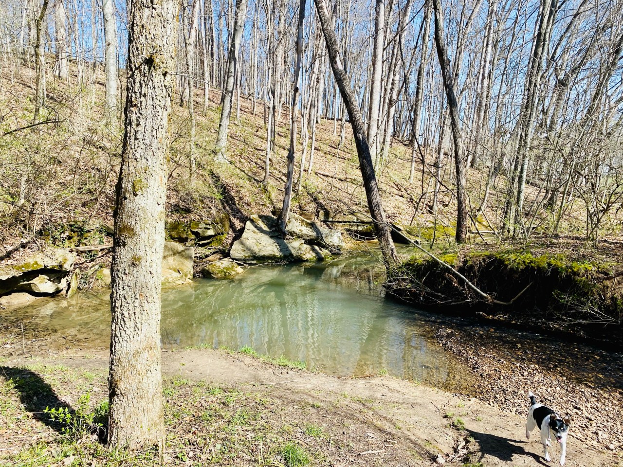 Strawberry Creek Nature Area –&nbsp;Missouri