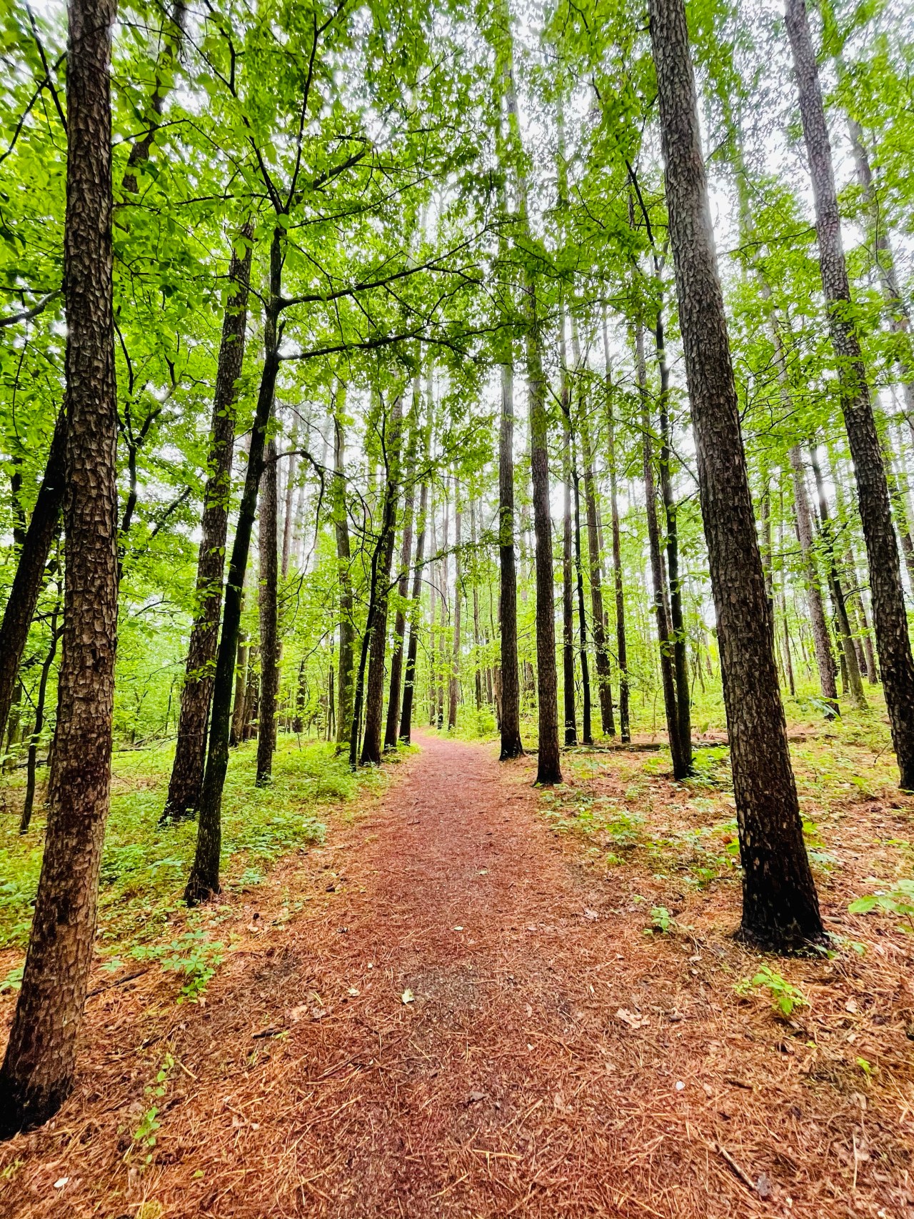 Crab Orchard National Wildlife Refuge –&nbsp;Illinois