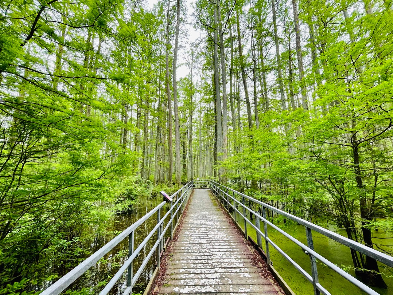 Heron Pond –&nbsp;Illinois
