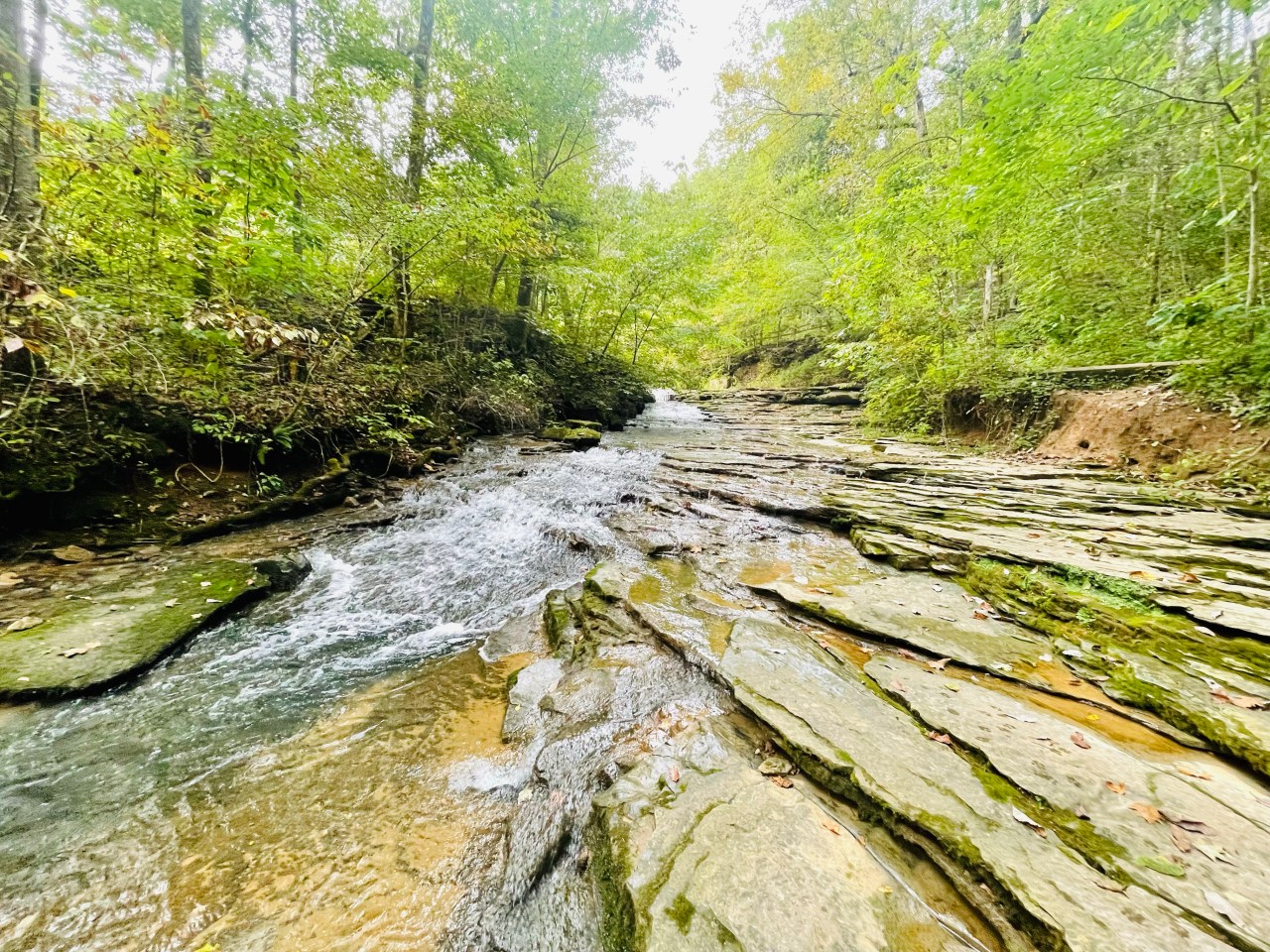 Saunders Springs Nature Preserve –&nbsp;Kentucky