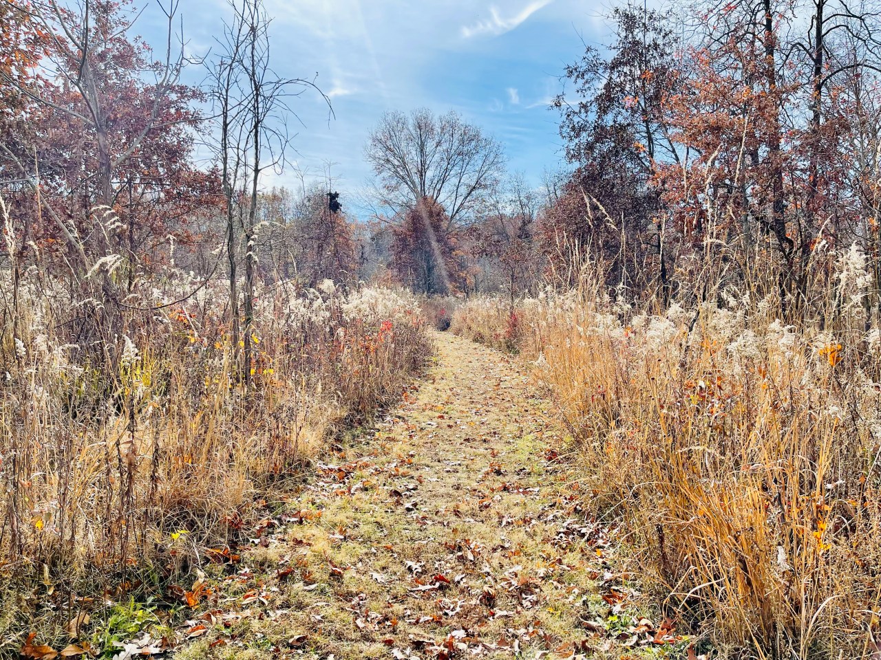 Shoal Creek Nature Preserve – Illinois