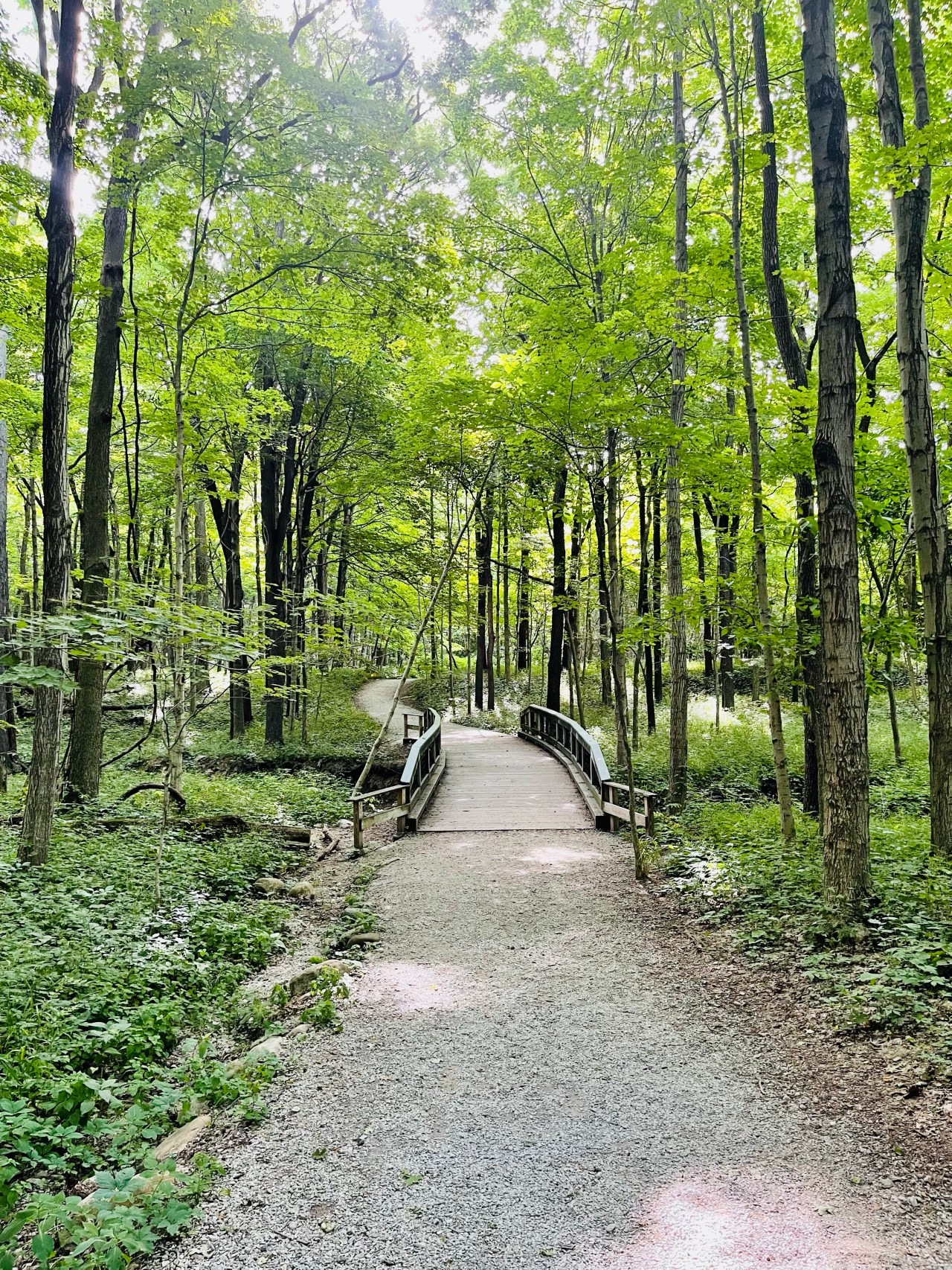 Ritchey Woods Nature Preserve –&nbsp;Indiana