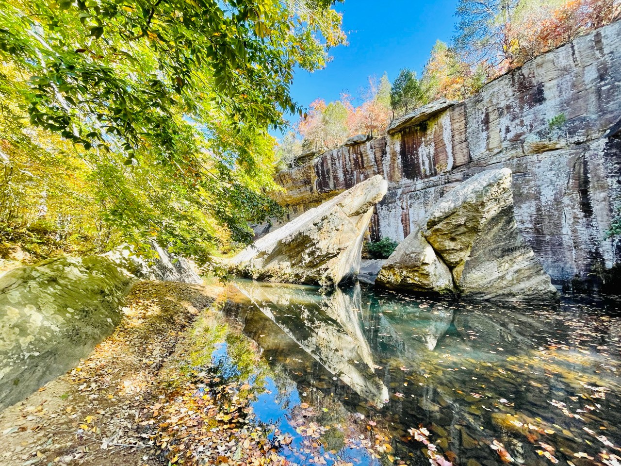 Bell Smith Springs –&nbsp;Illinois