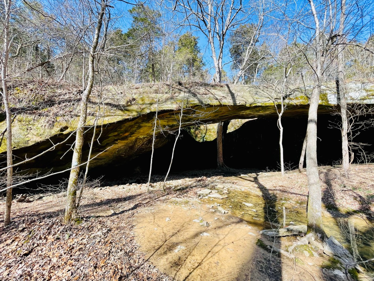 Mantle Rock Preserve –&nbsp;Kentucky