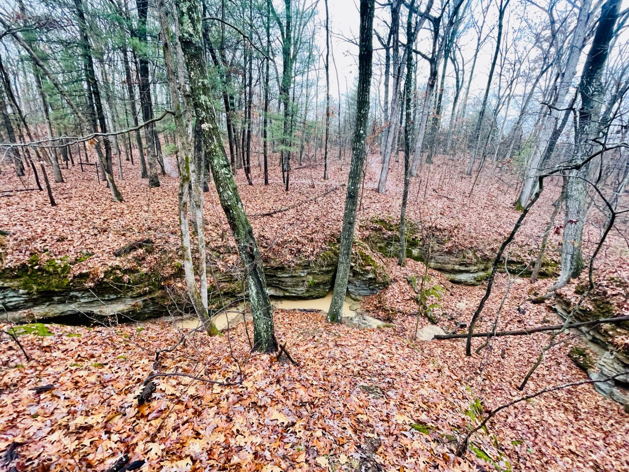 Storment Hauss Nature Preserve – Illinois